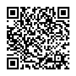 身边这个其貌不扬的男人比阿不都热依木地位还要高二维码生成