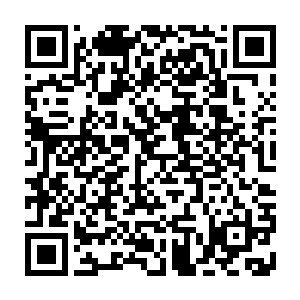 身边这个小男人一点儿也没有表现出见到偶像时那种惊讶或者激动的神情二维码生成