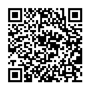 身边那个跌下来的前排男人也在摇晃着起身朝他伸手二维码生成