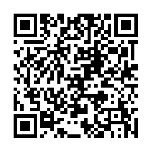 躲在一边伺候着的方睿不自觉地摸了摸自己的双臂二维码生成