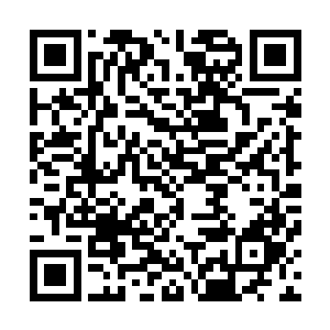 躲在一边的璃城本地的伙计默默地看着自家老板作死的行为二维码生成