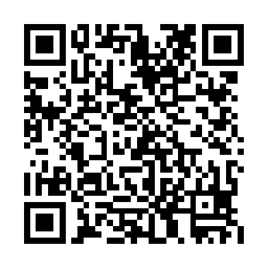 躲在不远处的人类舰队也像是被狠狠抽了一鞭子二维码生成