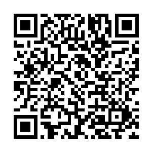 躲在其中夏侯龙城不时从挖出的观察洞眼中观察四周二维码生成