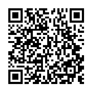 躲在后方的狙击手很容易被自己的同伴挡住前方视野二维码生成