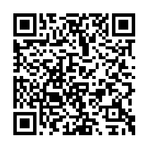 躲在树后瞪大眼睛看着离他越来越近的两名士兵二维码生成