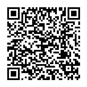 躲在监控室的陆子超和陆子峰在认真的看着监控屏上两人的一举一动二维码生成