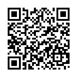 躲在饭店里的雇佣兵就是龟宿不出二维码生成