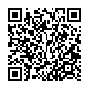 躺在一边昏迷不醒的天爵和琴家大少爷自然被他们发现了二维码生成