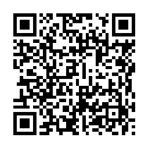 躺在地上的四人也听到了池佳一和周芷若的谈话声二维码生成