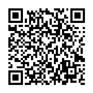 躺在地上的沈笑薇眼角的余光扫到了那把锋利的瑞士军刀二维码生成