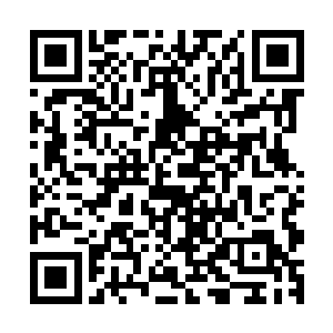 躺在地上的田青峰见苗毅和这白莲九品的人交手竟然占了上风二维码生成