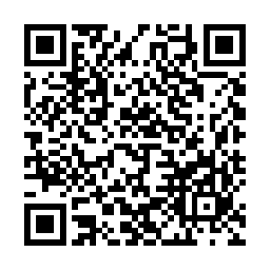 躺在地上面的威廉则是对后面的人挥动了一下自己的手二维码生成