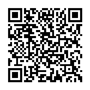 躺在坑底的炼狱魔主也忍不住在心底暗骂了一声二维码生成