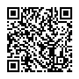 躺在漕运上享福二十年的那撮太安城头等勋贵公卿二维码生成