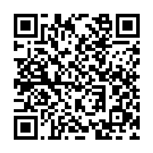 躺在蔷薇的大床上陪着蔷薇看了一下午的电视剧后二维码生成