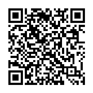 车上的两匹马还有那两个马夫和那黑袍男子早就不见人影二维码生成