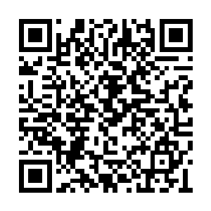 车上跳下来至少几个手里拿着砍刀钢管的年轻人二维码生成