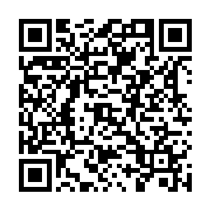车内的金贤浩跟王书泽被这剧烈的撞击震得都昏了过去二维码生成