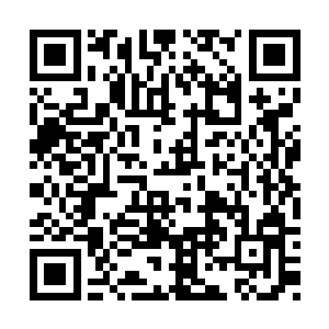 车子里除了妈妈低声的啜泣再也没有人多说一句二维码生成