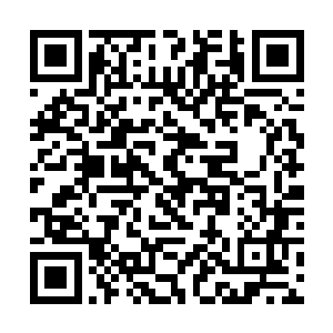 车年庚本来想让小小和其他人类基地联姻来巩固基地二维码生成