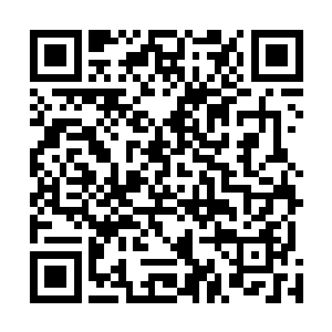 车水马龙之声让苏叶眼前已经周边的环境终于固定下来了二维码生成