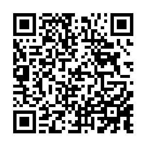 车轮磕碰在石子路上的声音就显得格外的刺耳了起来二维码生成