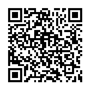 车间里的这条机械臂就像一条加长版的挖掘机臂二维码生成