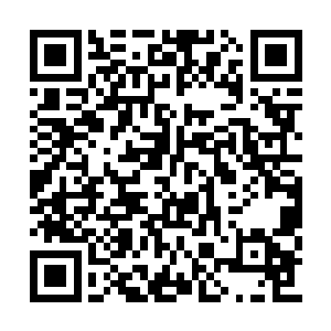 轩辕二少也将自己的目光放在了文七公子的身上二维码生成