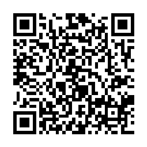轩辕奕只能出声安抚这个迫切想要长大的小家伙……二维码生成