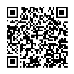 轩辕家族很乐意看到我们三重门家族和叶家打起来二维码生成