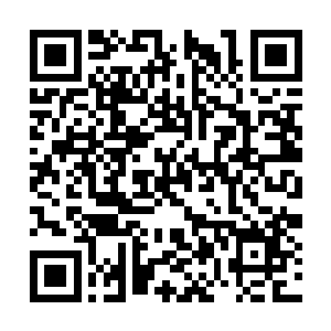 轩辕法幻想了一会李锐在这里吃苦受罪的场景之后二维码生成