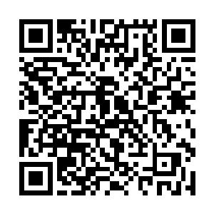 轩辕琉璃那老家伙早已跟着叶红尘一道浪迹天涯去了二维码生成