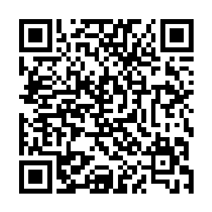 轩辕离歌原本那空无万物的清冷之眸中竟有了紫晴的身影二维码生成