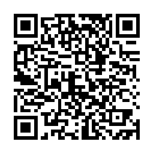 轩辕紫雪当真是弄不清楚天道的这番话到底是什么意思二维码生成