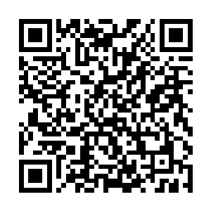 转世的初恋情人只要爱上别人就会变成婴儿从新再来二维码生成