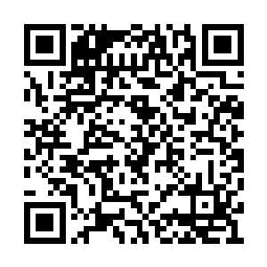 转到了萧易这个刚才把篮球抛出的罪魁祸首身上二维码生成