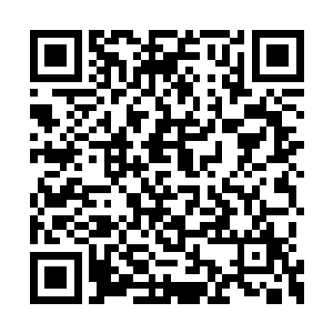 转化成热带环境来种植部分适应湿热环境的稻种二维码生成