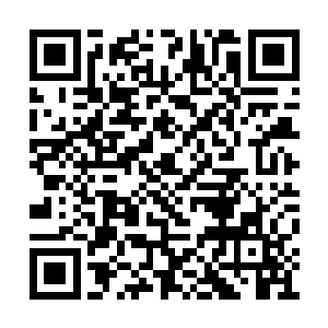 转即便与身边几个世家主以及一干护卫策马离去二维码生成