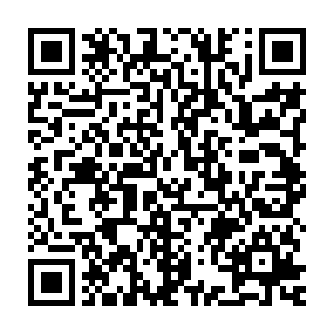 转头却是发现叶婉依正张着水汪汪的大眼睛在一旁静静的看着自己二维码生成