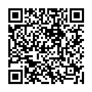 转头就看到凌菲把罐子里的黄褐色的东西往碗里倒二维码生成