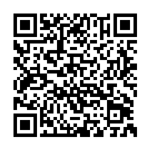 转头望着在那里依旧不知道愁滋味欢呼的许紫烟二维码生成