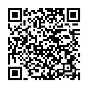 转头看向近前殷勤端着一杯劣等仙茶的女修者淡淡说道二维码生成