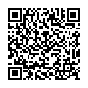 转播席上的主持人和特邀嘉宾屠指导已经放弃了二维码生成