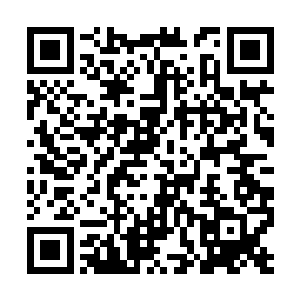 转生者应该对这一世的母亲和妹妹没什么感觉才对二维码生成