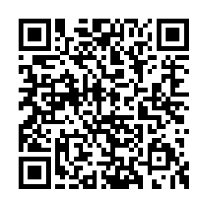 转眼之间这团相当于一个爵士的精血就全部消失二维码生成