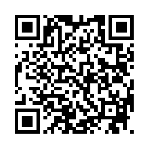 转眼在空中幻化出两个蒲扇般的大手掌二维码生成