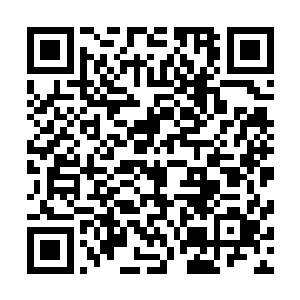 转眼的时间已经在夭华的颈脖上落下一连串密密麻麻的吻痕二维码生成