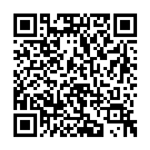 转而研究起之前击伤张横精神世界的奇妙一击来二维码生成