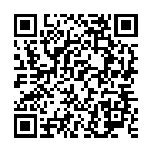 转身召出一片翠绿的羽毛踏到上面飞向黑仔所指的西南斜下方二维码生成