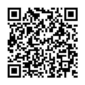 转身对着个子仅到他鼻梁下的随山派掌门昭华真人作揖道二维码生成
